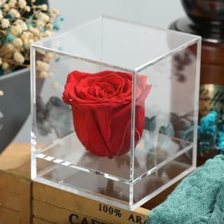 フィギュアケース 小型 透明立方体フィギュアケース